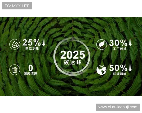 乐鱼电子在新能源应用中的创新探索，推动绿色科技与可持续发展