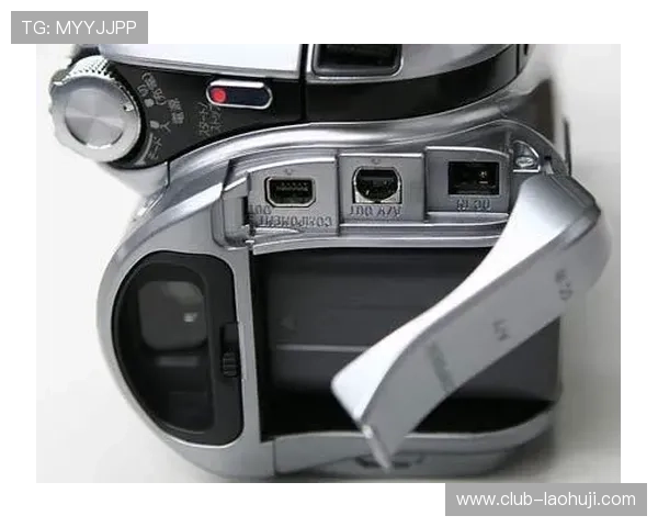 老虎机平台哪个规模比较大，用户体验与安全保障方面的优势详尽解析